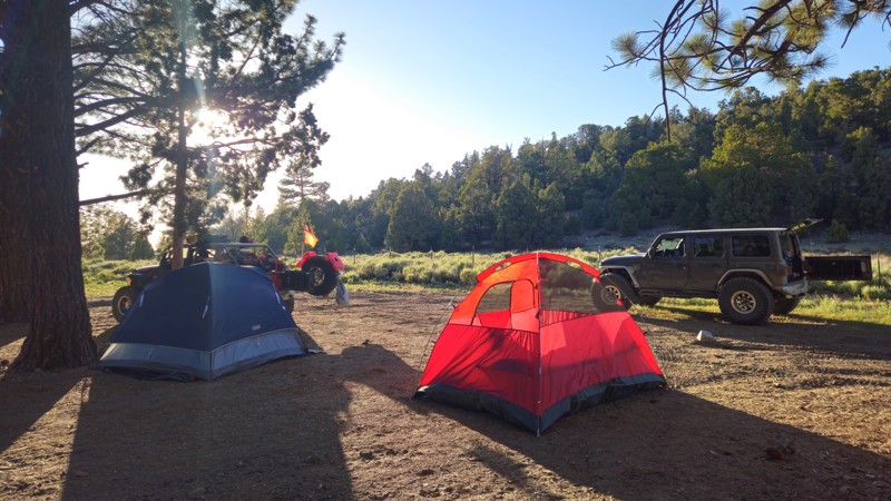 Juniper Springs Group Camp Trail Review Photo