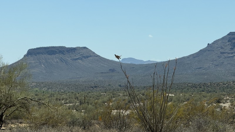 Table Mesa 9991 Trail Review Photo
