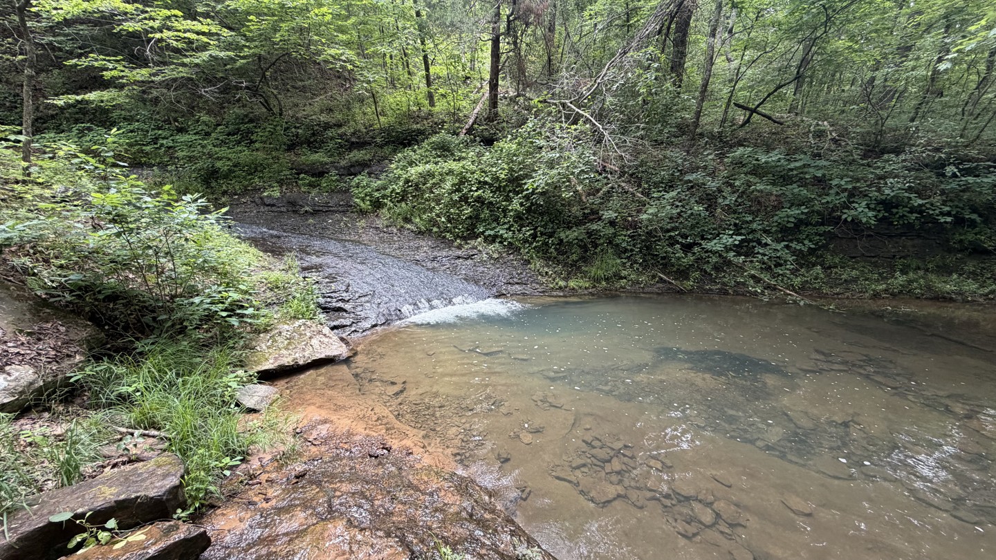 Hero: Eureka Springs Hollow