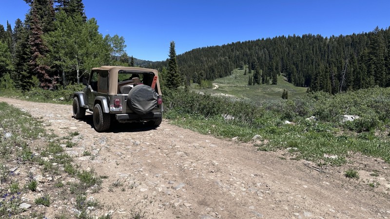 Eight Mile Road Trail Review Photo