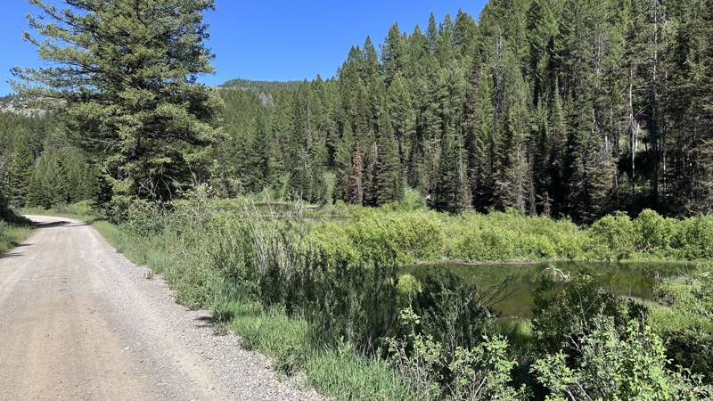 Eight Mile Road Trail Review Photo