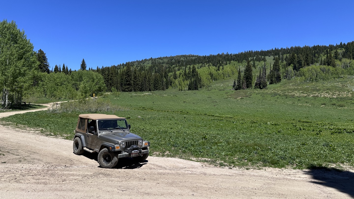 Hero: Eight Mile Creek Road
