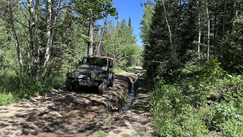 Eight Mile Creek Road Trail Review Photo