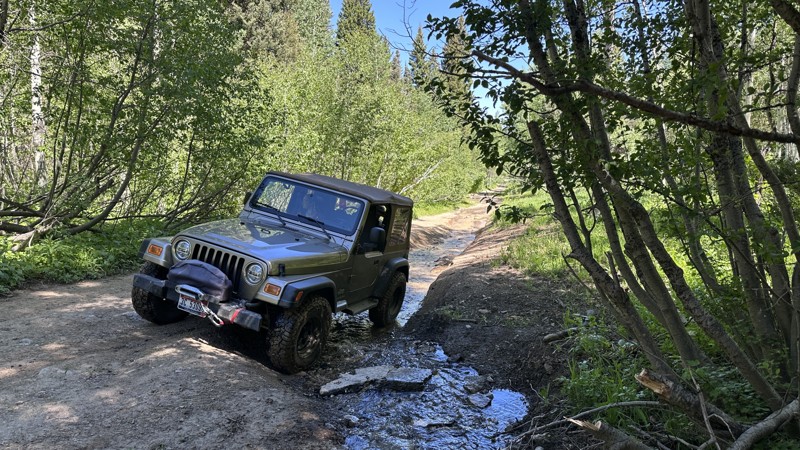 Eight Mile Creek Road Trail Review Photo