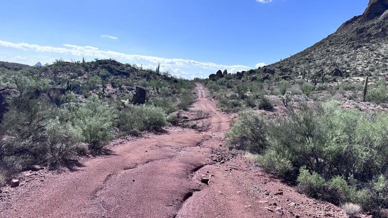 Back Road to Alamo Lake - Beginner Trails