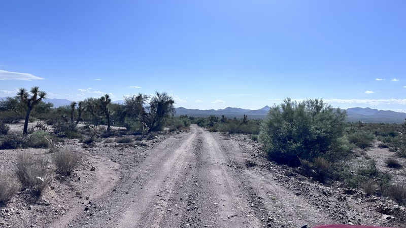 Back Road to Alamo Lake Trail Review Photo