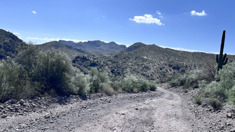 Back Road to Alamo Lake Trail Review Photo