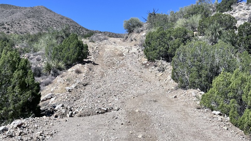 Shannon Basin Trail Review Photo