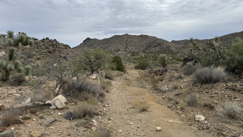 Shannon Basin Trail Review Photo