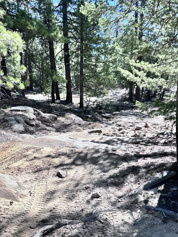 FR 752 Trail Review Photo