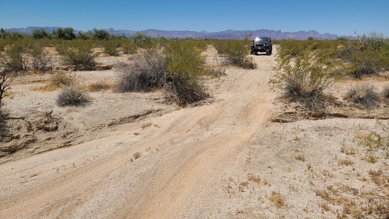 Chemehuevi Valley West Trail Review Photo