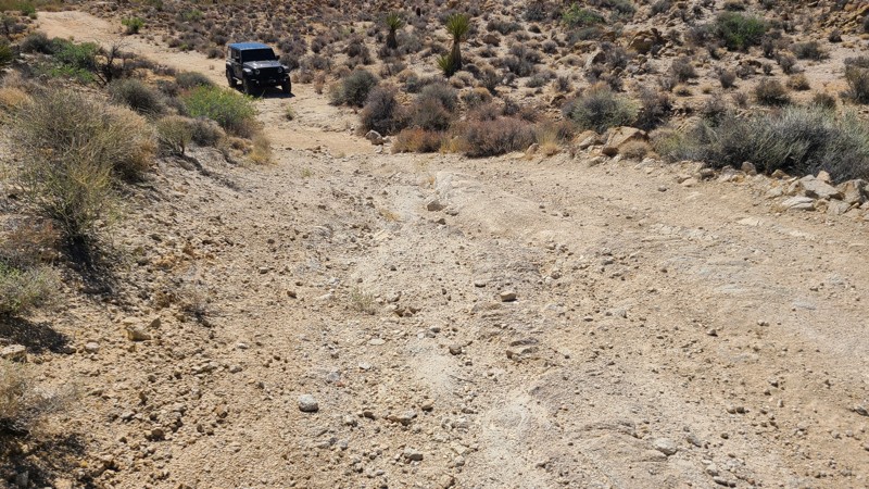 Sunflower Springs Road Trail Review Photo