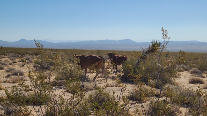 Piute Crossing Trail Review Photo