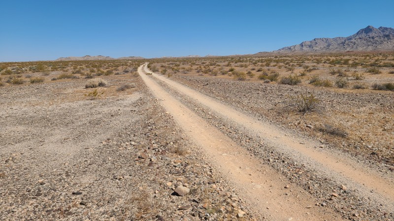 North Chemehuevi Trail Trail Review Photo