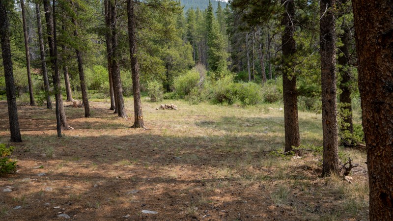 Middle Quartz Creek Trail Review Photo