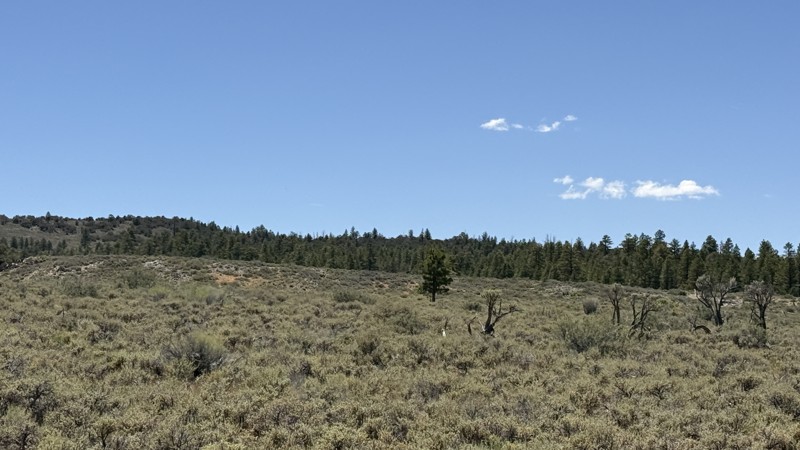 Berry Springs Trail Review Photo