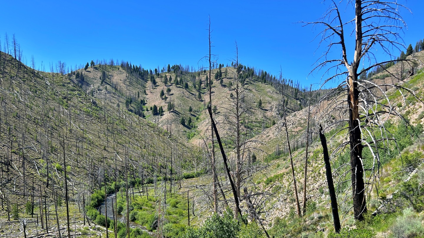 Hero: Basin Creek