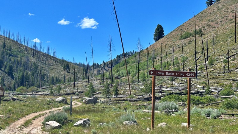 Basin Creek Trail Review Photo