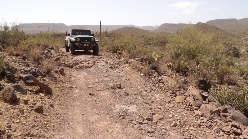 Crested Saguaro Trail Review Photo