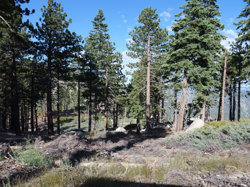 Crafts Peak Trail Review Photo