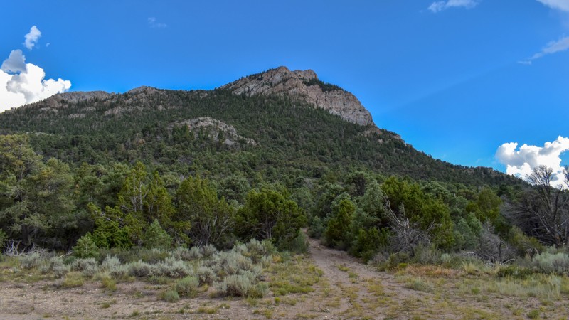 Patterson Pass Road Trail Review Photo