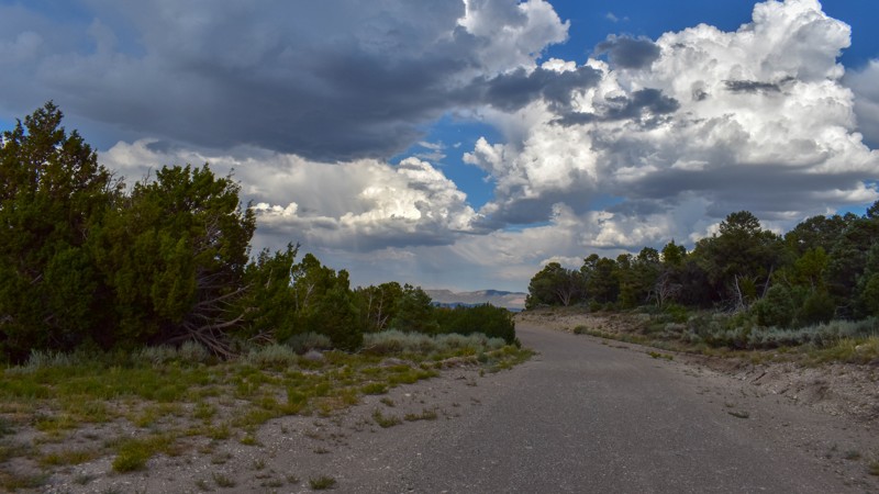 Patterson Pass Road Trail Review Photo