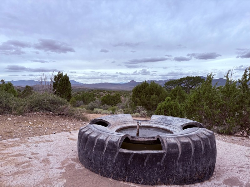 Cave Valley Road Trail Review Photo
