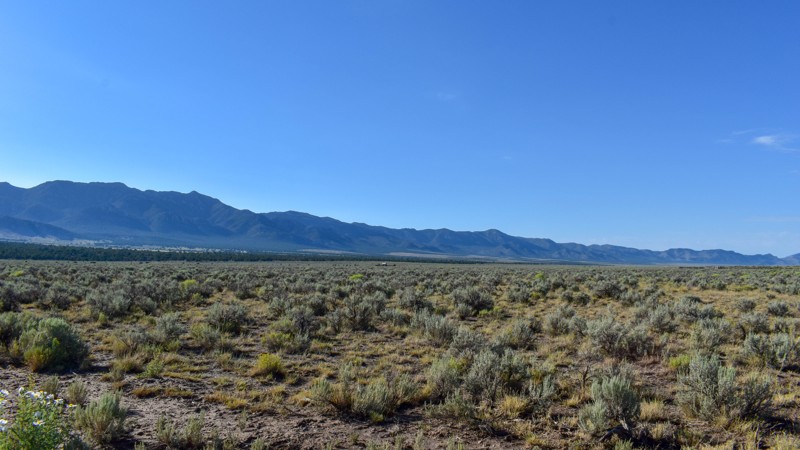Shingle Shortcut Road Trail Review Photo