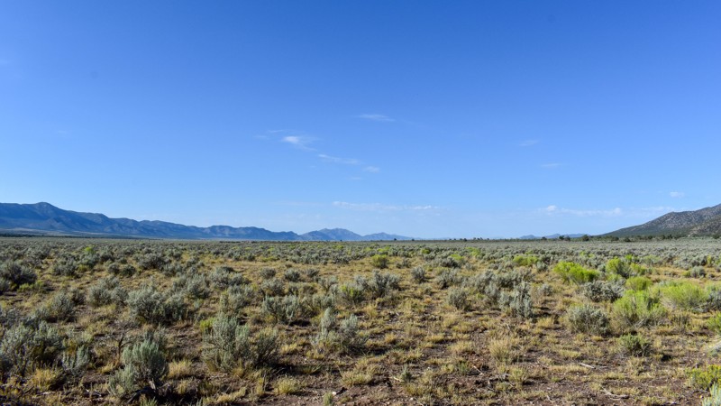 Shingle Shortcut Road Trail Review Photo