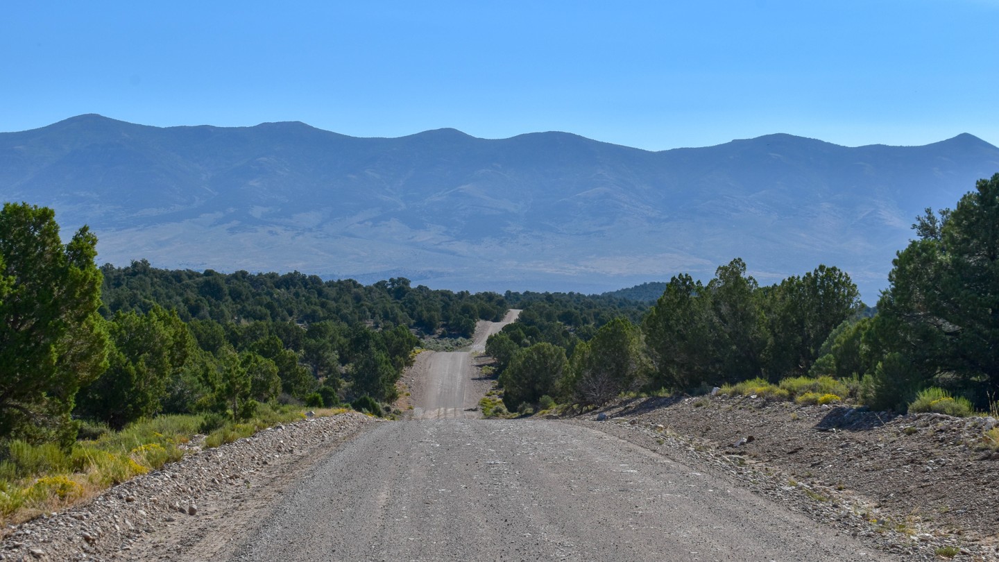 Hero: Shingle Pass Road