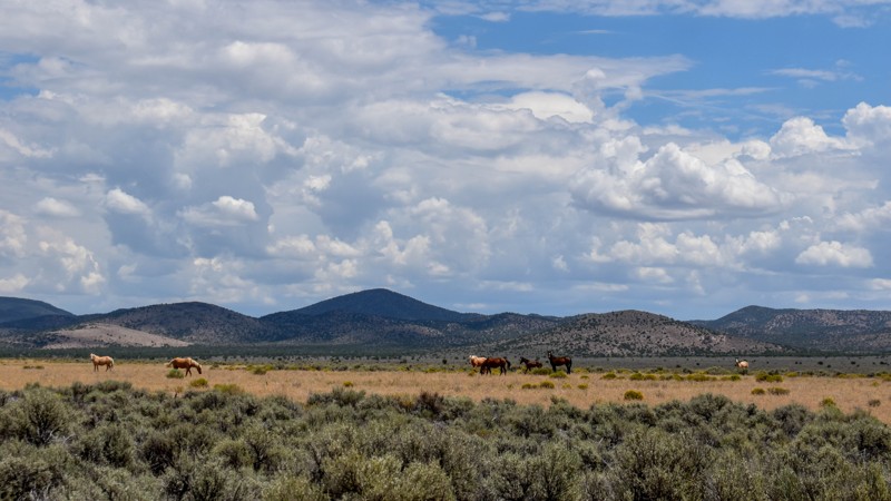 Silver King Road Trail Review Photo