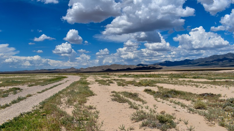 Lower Pond Road Trail Review Photo