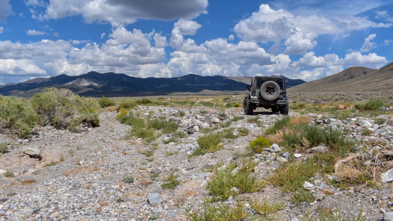 Stampede Road Trail Review Photo