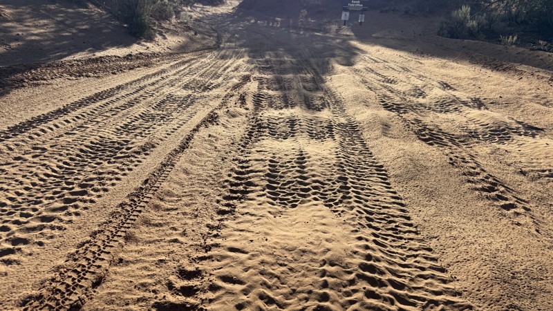 100 Trail Review Photo