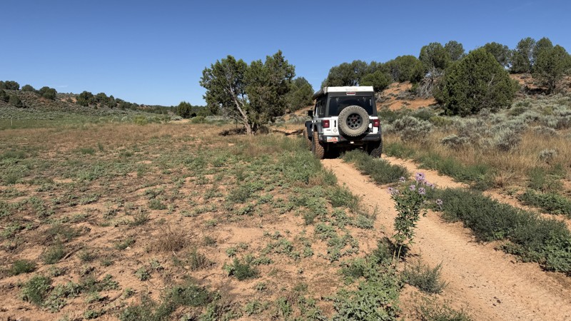 103C Trail Review Photo