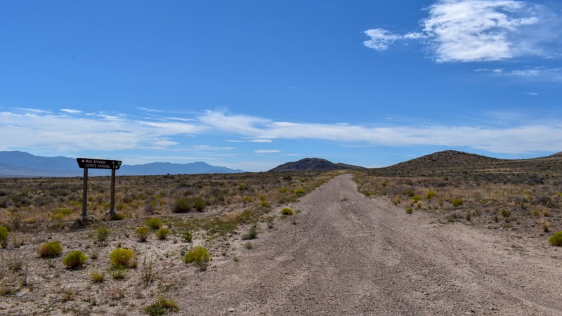 Coyote Spring Road Trail Review Photo