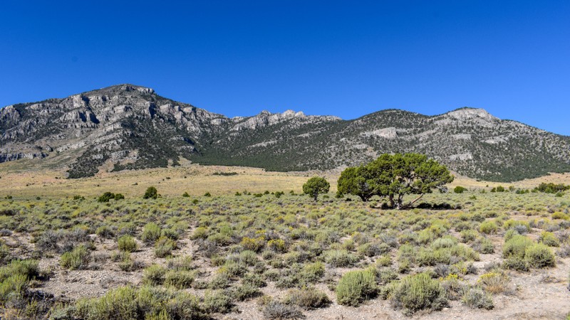 Mud Spring Road Trail Review Photo
