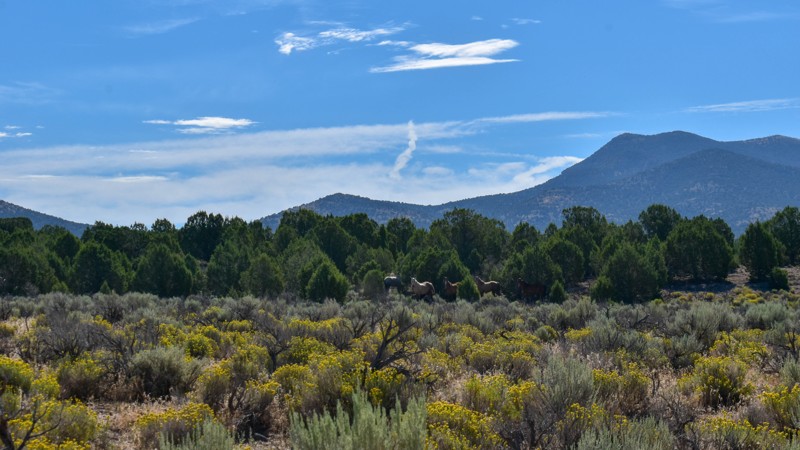 Mud Spring Road Trail Review Photo