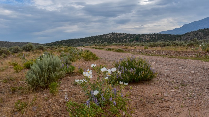N Cave Valley Road Trail Review Photo