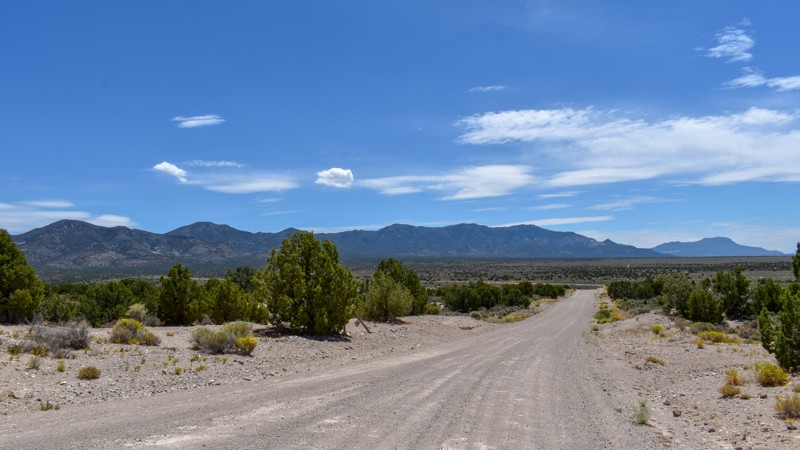 Sunnyside Road Trail Review Photo