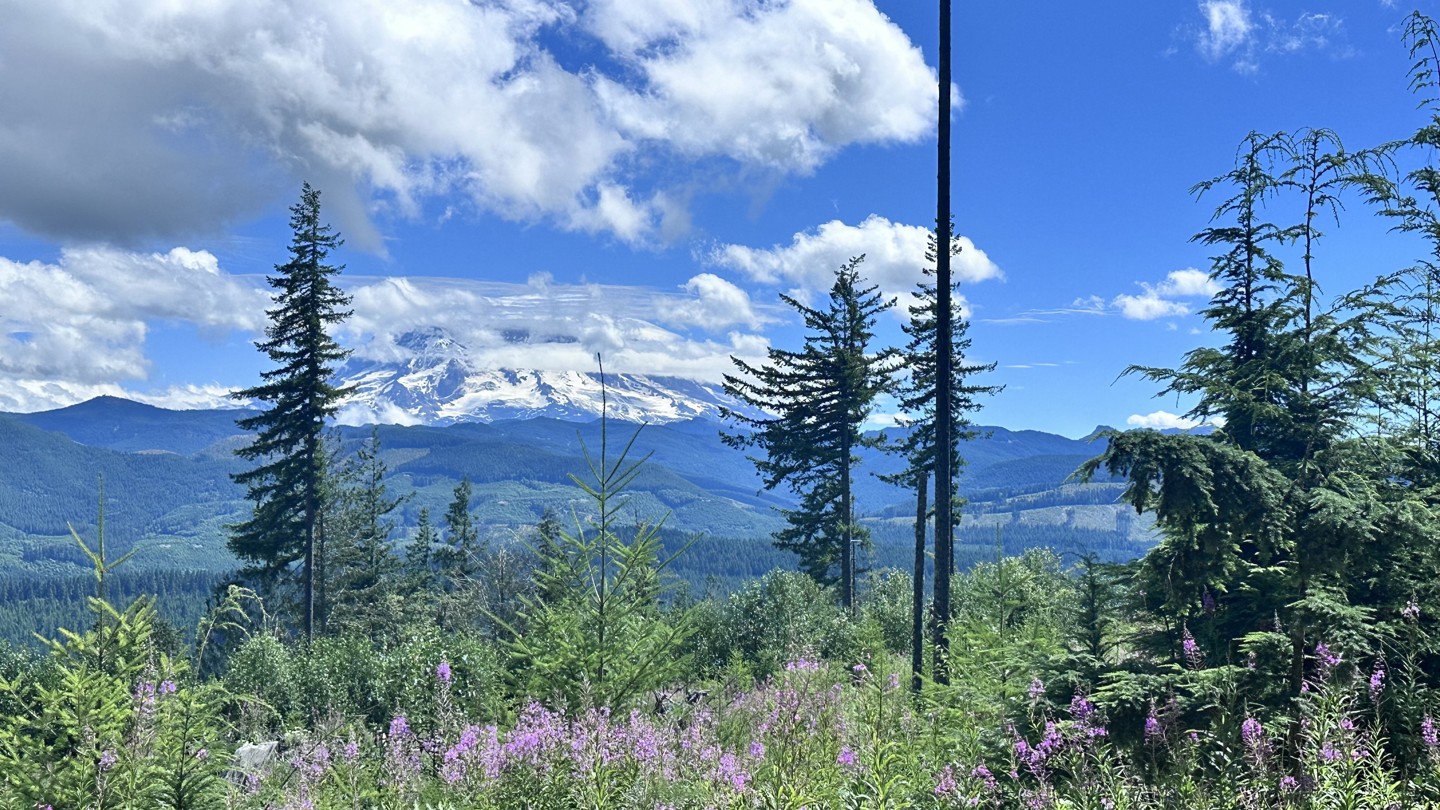 Hero: 5 Road