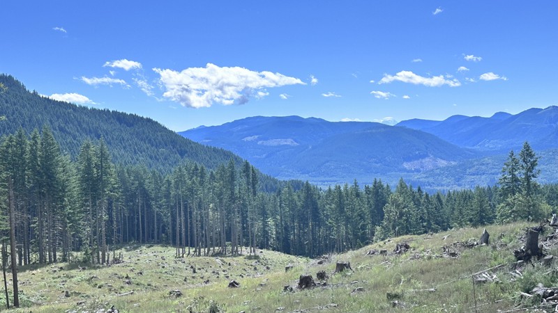 5 Road Trail Review Photo