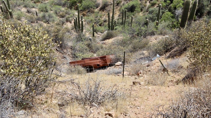 Buzzard Roost Trail Review Photo