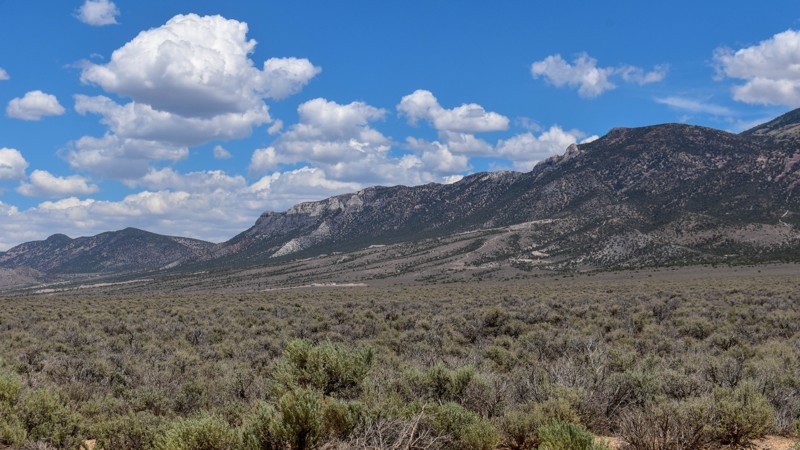 South Spring Valley Road Trail Review Photo