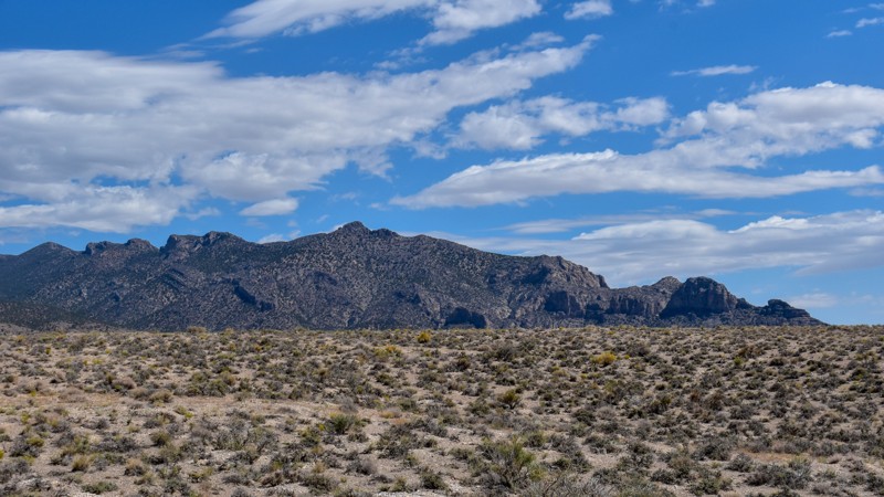 Shoshone Road Trail Review Photo