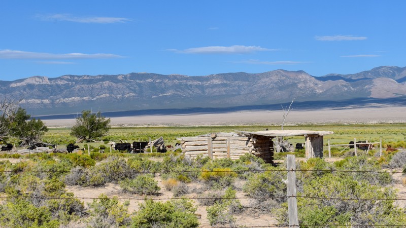 Big Spring Road Trail Review Photo