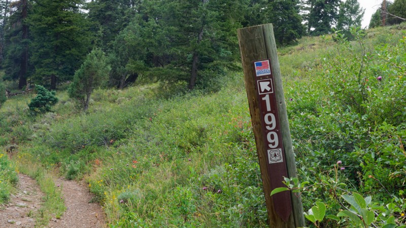 Cedar Hollow West 1 Trail Review Photo