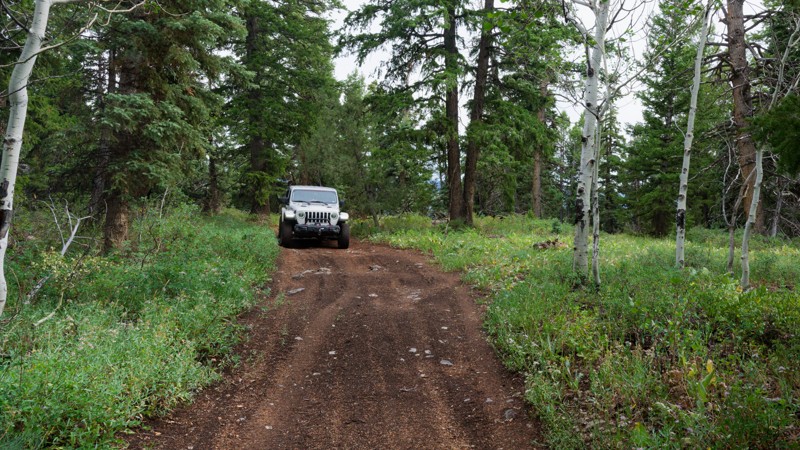 Cedar Hollow West 1 Trail Review Photo
