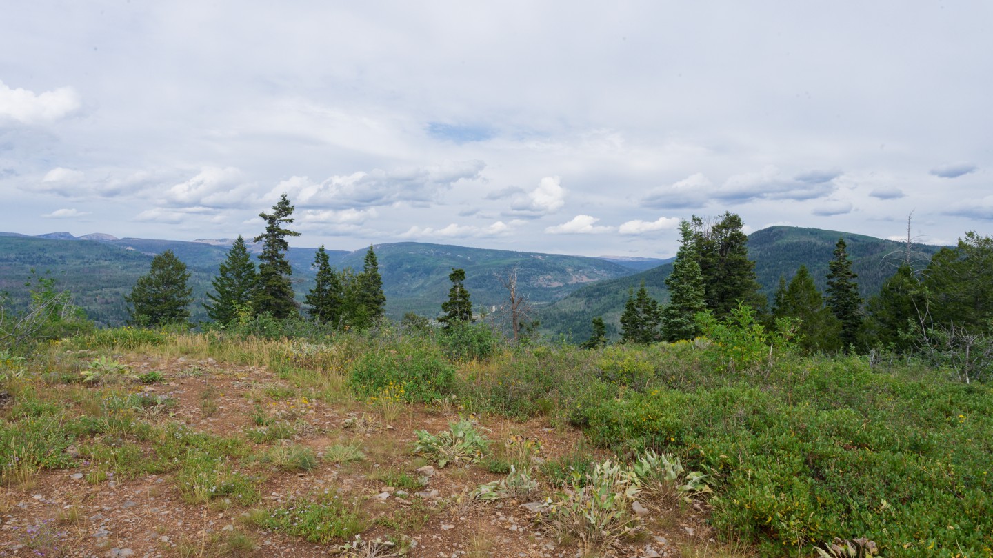 Hero: Cedar Hollow OHV