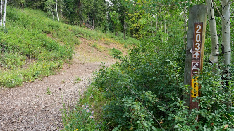 Cedar Hollow OHV Trail Review Photo